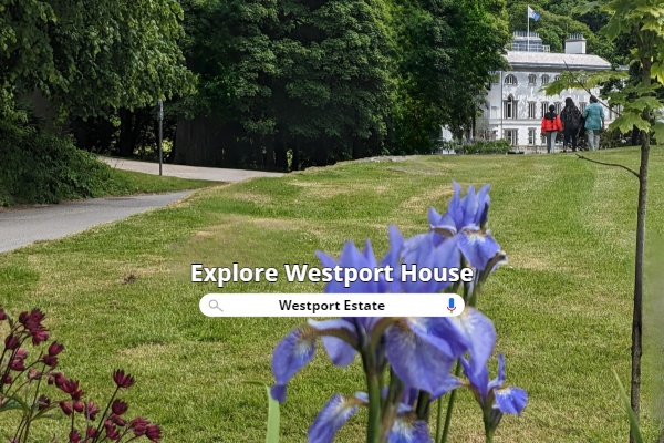 Explore Westport House and Estate