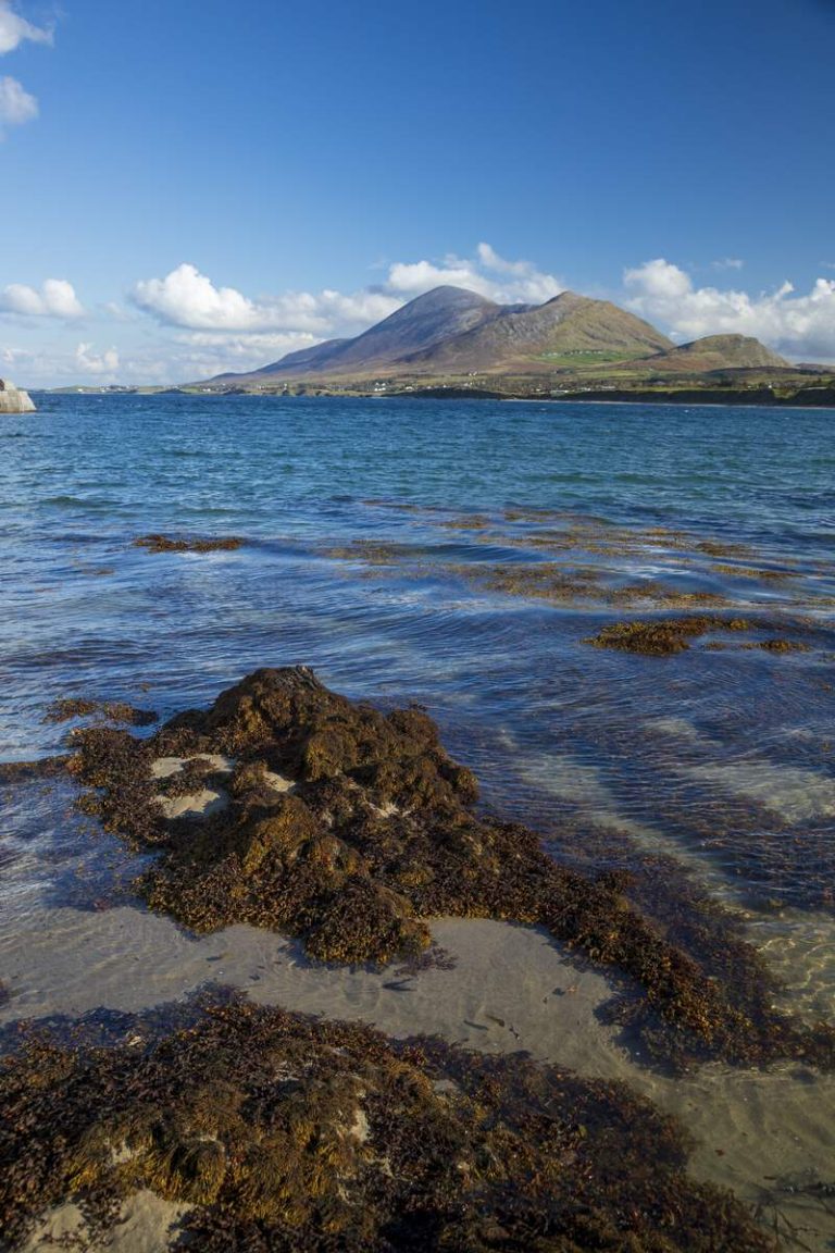 Old Head and Croagh Patrick County Mayo MAY2685 Web Size
