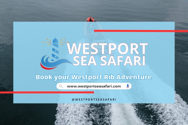 Westport Sea Safari Social Image - Boat Tours Westport