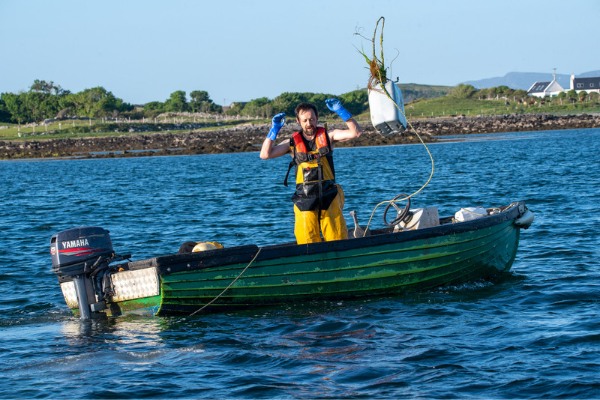 Lobster Potting Clew Bay
