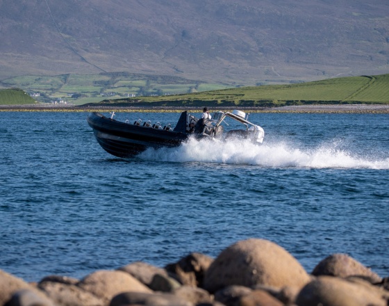 boat trips from westport